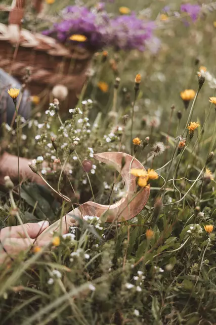 Aus den handgepflückten Kräutern, Wurzeln und Beeren werden hochwertige Kräuterauszüge hergestellt. | Foto: Kräuterwerkstatt Kärnten
