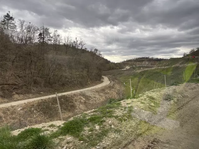 Foto: Alexandra Goll