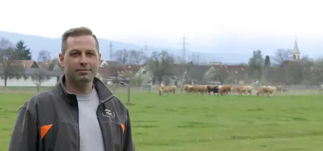 Christian Rasner mit seinen Kühen. Der sichere Abstand zu Spaziergängern bleibt gewahrt. | Foto: Santrucek
