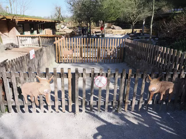 Der Zugang zum Zoo erfolgt aktuell nur über Seuchenteppiche. Auch Hunde müssen sich erst die Pfoten putzen. | Foto: Zoo Salzburg/Angelika Köppl