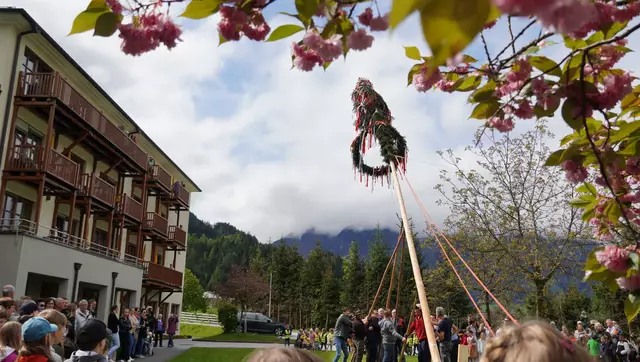Unter lautem "Ho-Ruck"-Geschrei werden im Pongau wieder Maibäume aufgestellt. | Foto: Felix Hallinger
