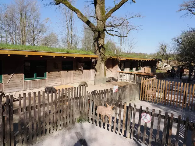 Der Streichelzoo bleibt ab Freitag geschlossen. | Foto: Zoo Salzburg/Angelika Köppl