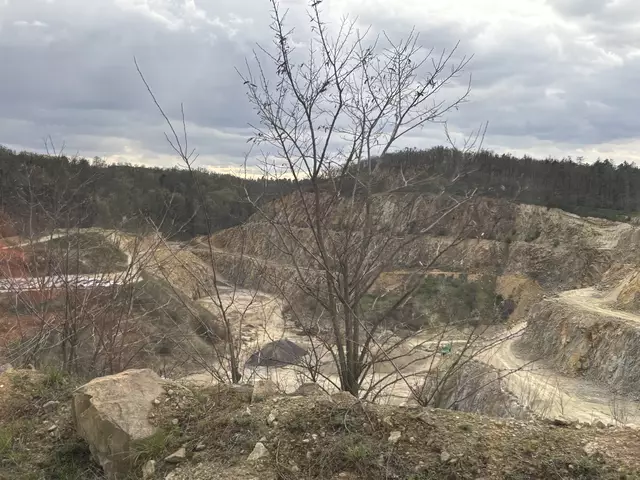 Foto: Alexandra Goll