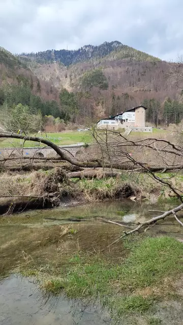 visavis ist die Talstaton der Raxseilbahn... | Foto: I.Wozonig