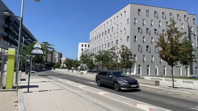 Nachbegrünungen in der Seestadt wurden auch von der ÖVP gefordert. | Foto: Andreas Pölzl/MeinBezirk