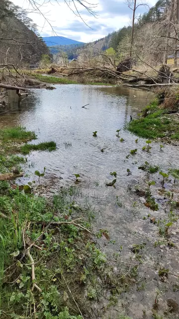 ,,Blick zurück"... | Foto: I.Wozonig