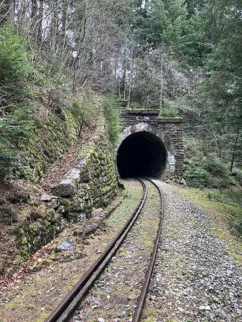 Das Kirchleiten-Tunnel-Portal vor den Freischneidearbeiten. | Foto: Club U44