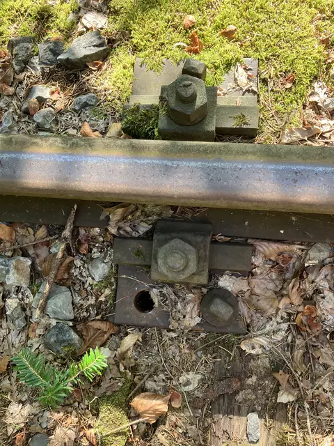 Die Gleiskörper sind an einigen Stellen nicht mehr in Ordnung. | Foto: P. Thaller