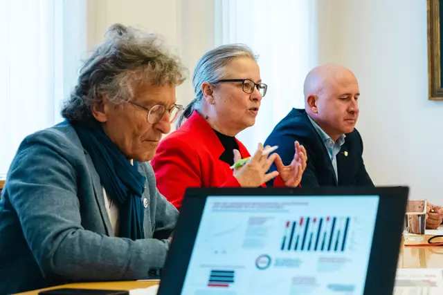 Sepp Wall-Strasser, Bettina Lancaster und David Allerstorfer (v. l.). | Foto: SPÖ