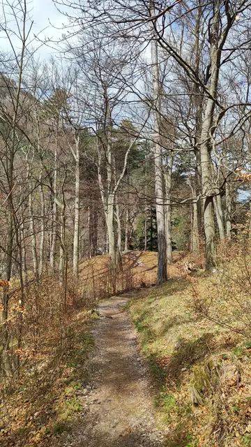 steinige Passagen wechseln sich mit Waldwegen ab... | Foto: I.Wozonig