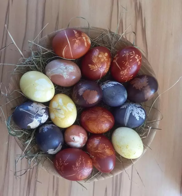 Ostereier, welche mit Naturfarben gefärbt wurden. | Foto: Ennsmann