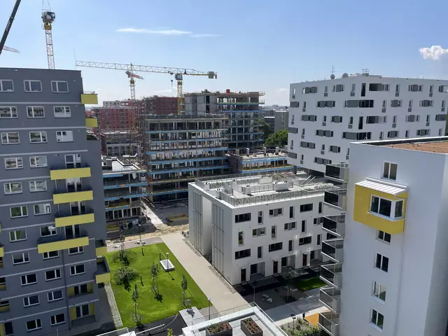 Löff kritisiert die leer stehenden Wohnungen in der Berresgasse. | Foto: RMW/Luise Schmid