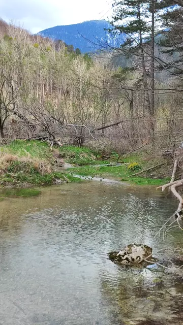 unter uns plätschert die Schwarza... | Foto: I.Wozonig