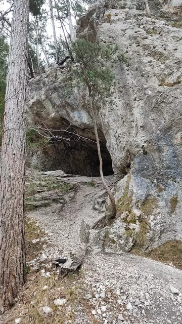 immer wieder machen Höhlen neugierig... | Foto: I.Wozonig