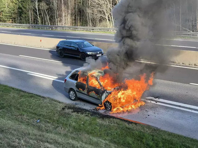 Fahrzeugbrand auf der Semmeringschnellstraße. | Foto: www.einsatzdoku.at