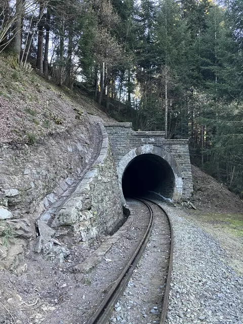 Das Kirchleiten-Tunnel-Portal nach den Freischneidearbeiten. | Foto: Club U44