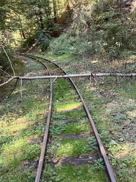 Die Strecke ist teilweise blockiert. | Foto: P. Thaller
