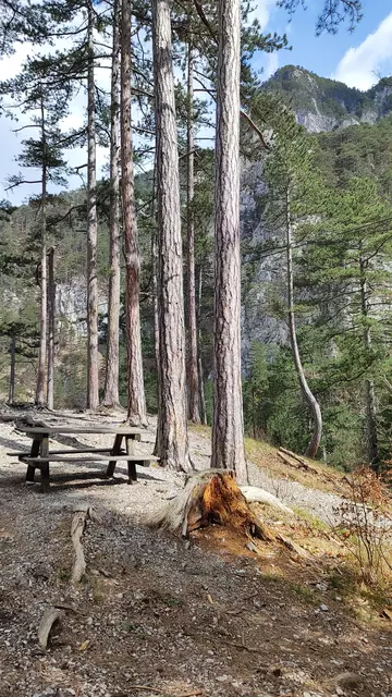 ein einladender Rastplatz... | Foto: I.Wozonig