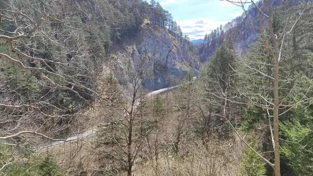 hier geht es ein Stück höher hinauf... | Foto: I.Wozonig