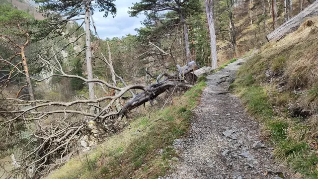 es sind nur wenige Höhenmeter zu überwinden... | Foto: I.Wozonig