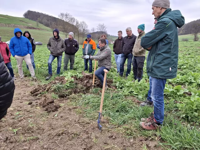 In Magland in der Gemeinde Unterlamm waren Landwirtinnen und Landwirte zu einer Feldbegehung eingeladen. | Foto: Landwirtschaftskammer