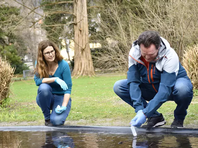 LR Zumtobel gemeinsam mit Projektleiterin Corinna Wallinger bei der Vorstellung des Projekts Anfang 2024. Durch die Entnahme von Wasserproben durch BürgerInnen und die anschließende Analyse der eDNA durch ForscherInnen in Innsbruck konnte das Amphibienvorkommen in ganz Österreich untersucht werden. | Foto: © Land Tirol/Knabl