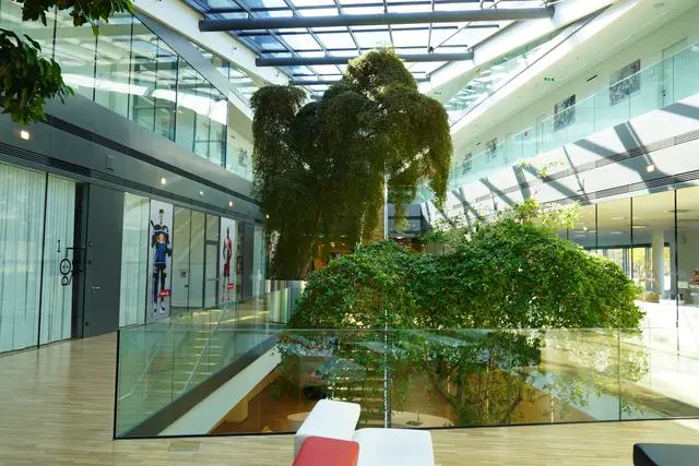 Im Innenbreich der Red Bull Akademie in Salzburg/Liefering. | Foto: Emanuel Hasenauer