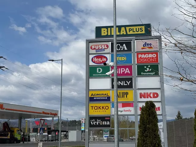 Diese installierten Kameras sorgten für helle Aufregung am Vorum. | Foto: Almer