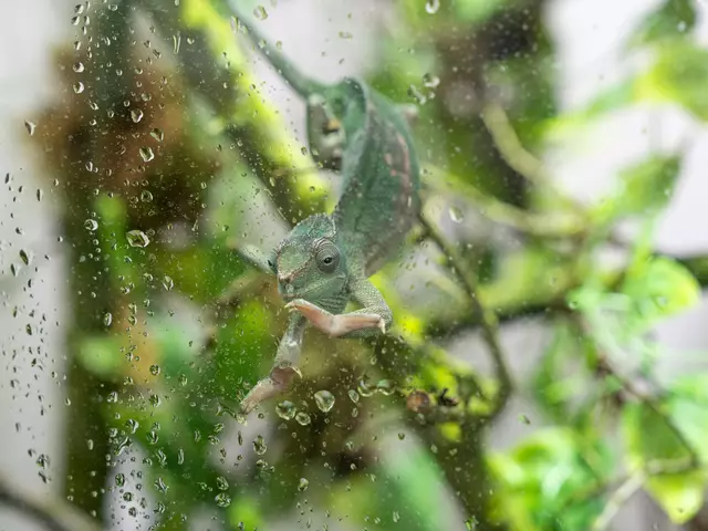 Foto: Valentina Marinelic/MeinBezirk