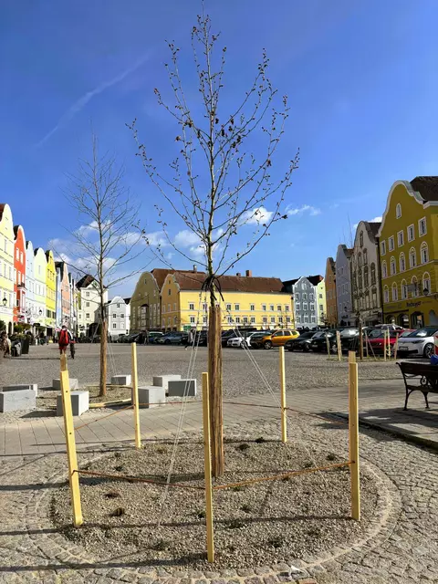 Foto: Gruber