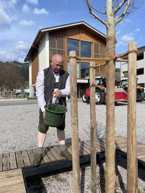Ein Baum zum Zwanziger: Bürgermeister Christian Ritzer goss die Linde in Niederndorf persönlich ein.  | Foto: Johanna Weber