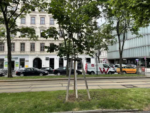 Die Innere Stadt soll endlich verkehrsberuhigt werden.  | Foto: Niklas Varga