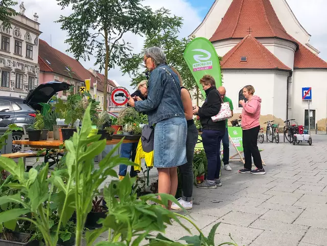 Bereits im Vorjahr war der Pflanzentauschmarkt sehr beliebt. | Foto: Die Grünen