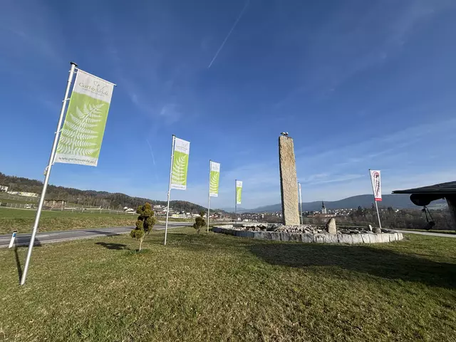 Auf dieser Steinsäule errichtet das Storchenpaar ihr Nest – direkt neben der B127.  | Foto: Karin Bayr