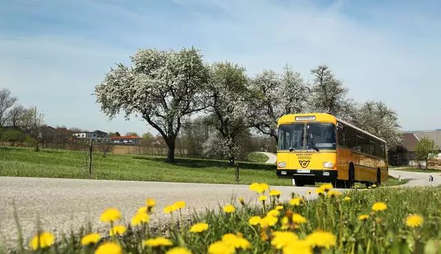 Auch dieses Jahr sind die Oldtimer wieder unterwegs und liefern ihre Gäste bei Biohöfen und Wirtshäusern ab, wo Produkte rund um den Birnenmost verkauft werden. Kostprobe gefällig? (Archivbild) | Foto: Mostviertel Tourismus/weinfranz.at