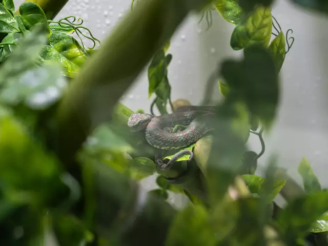 Foto: Valentina Marinelic/MeinBezirk