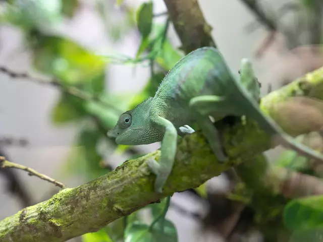 Foto: Valentina Marinelic/MeinBezirk