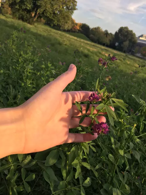 Das Frühlingserwachen Wochenende wird ein Fest für alle mit grünem Daumen. | Foto: Michaela Müller