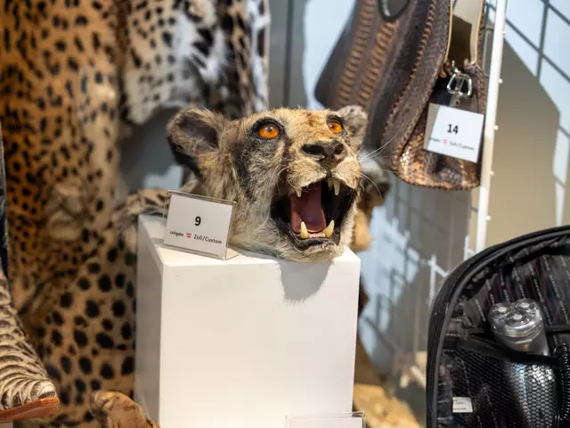 Foto: Valentina Marinelic/MeinBezirk