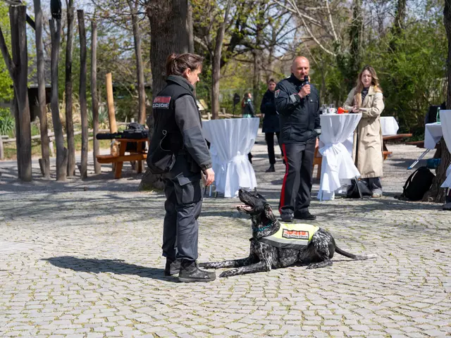 Foto: Valentina Marinelic/MeinBezirk