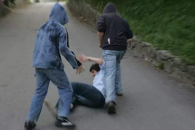 Vier Männer sollen sich in einer Grünanlage gestritten und geprügelt haben.  | Foto: Franz Neumayr/Symbolbild