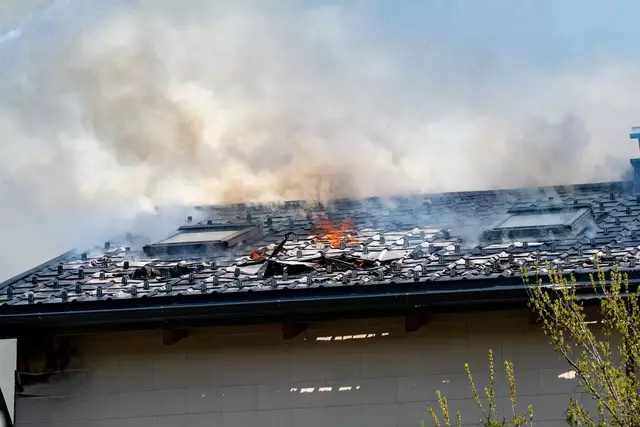 Foto: TEAM FOTOKERSCHI / MARTIN SCHARINGER