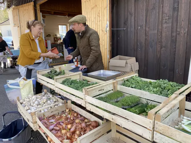 Gemüse der Saison