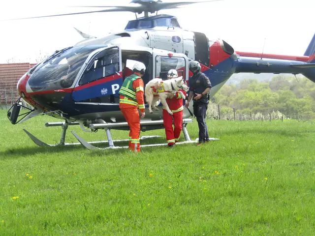 Der Hubschrauberflug wurde von den erfahrenen Hunden gelassen bewältigt. | Foto: Peter Sattler