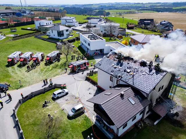 Foto: TEAM FOTOKERSCHI / MARTIN SCHARINGER