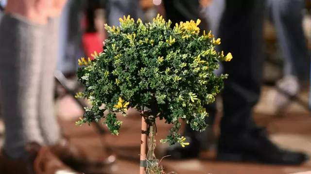 Foto: Norbert Ortner