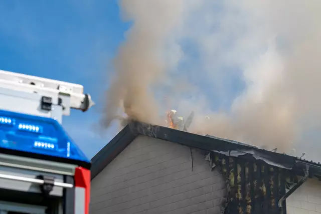 Foto: TEAM FOTOKERSCHI / MARTIN SCHARINGER