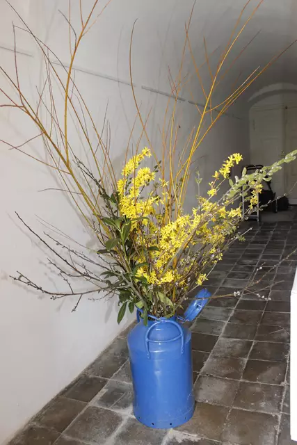 Foto: Walter Kellner