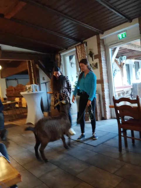 Foto: Veronika Frank