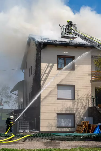 Foto: TEAM FOTOKERSCHI / MARTIN SCHARINGER